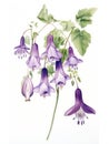 Watercolor Rendering of Jovellana Violacea AI Generated