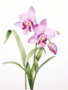 Watercolor Rendering of Shenzhen Nongke Orchid AI Generated