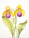 Watercolor Rendering of Yellow and Purple Lady Slippers AI Generated Royalty Free Stock Photo