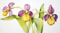 Watercolor Rendering of Yellow and Purple Lady Slippers AI Generated Royalty Free Stock Photo