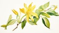 Watercolor Rendering of YlangYlang Flower on White Background AI Generated