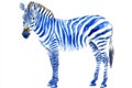 A watercolor rendering of a zebra highlights its unique black and white striped pattern Royalty Free Stock Photo