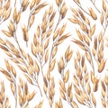 Watercolor repeated seamless pattern of cereals, oats.