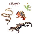 Watercolor reptiles isolated on a white background