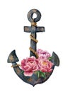 Watercolor retro anchor with rope and peony flowers.