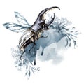 Watercolor rhinoceros beetle with horns on a floral background. Animal, insects. Magic flight. Can be printed on T
