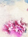 Watercolor Rhododendron flowers background