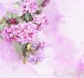 Watercolor Rhododendron flowers Royalty Free Stock Photo