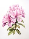 Watercolor Rhododendron Protistum on White Background AI Generated