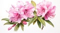 Watercolor Rhododendron Protistum on White Background AI Generated