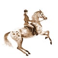 Watercolor rider and horse on white. Sepia horseman girl on rearing up stallion.