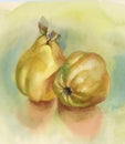 Watercolor ripe apples background