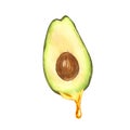 Watercolor ripe avocado oil dripping from avocado fruit. Hand-drawn illustration isolated on white background. Perfect Royalty Free Stock Photo