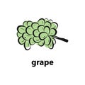 Watercolor ripe grape with leaves isolated on white in graphic style hand-drawn vector illustration. Royalty Free Stock Photo