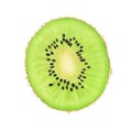 Watercolor ripe kiwi