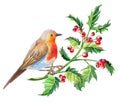 Watercolor Robin bird.Watercolour Merry Christmas card.New Year illustration