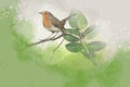 Watercolor robin redbreast. Hand painted bird isolated on white background. Wildlife illustration for design, print, fabric or Royalty Free Stock Photo