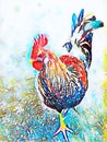 Watercolor rooster chicken