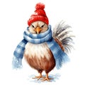 Watercolor rooster in a winter hat on a white background