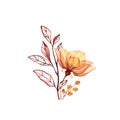 Watercolor Rose bouquet. Transparent orange flower with branch and berries isolated on white. Hand painted vintage