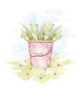 Watercolor rose bucket with bouquet with may-lily Royalty Free Stock Photo