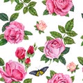 Watercolor Roses with green leaves, rose buds and a butterfly seamless pattern on white background Royalty Free Stock Photo