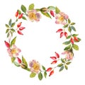 Watercolor rose hip wreath. Flowers, leaves and fruits of wild roses. Briar, watercolor painting for decoration.