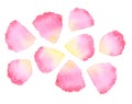 Watercolor rose petal