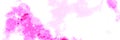 Watercolor rose pink heaven cloudy spill on white clean painted banner. Fantasy fluffy baby wallpaper. Royalty Free Stock Photo