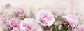 Watercolor vintage roses background on old paper - Facebook cover