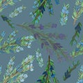 watercolor rosemary with needles and blue flowers. seamless pattern with rosemary branches on light blue background. Herbs, spice