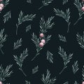 Watercolor rosemary seamless pattern. Taxus baccata, juniper. Winter plant print on black background. Hand drawn