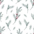 Watercolor rosemary seamless pattern. Winter plant print on white background. Hand drawn botanical illustration for