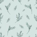 Watercolor rosemary seamless pattern. Winter print on mint background. Evergreen spruce, Hand drawn botanical