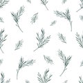 Watercolor rosemary seamless pattern. Winter print on white background. Evergreen spruce, Hand drawn botanical