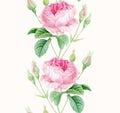 Watercolor Roses seamless border. Vintage vertical floral decoration. Botanical hand drawn illustration. Colourful