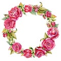 Watercolor round floral wreath, roses flower frame. Hand drawn illustration isolated on white background high resolution