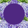 watercolor round frame with branch of wisteria blossom flowers, hand drawn illustration with spring lilac flowers, blue