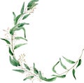 Watercolor round frame of eucalyptus branches. Hand-drawn greenery wreath. Template for your text.