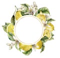 Watercolor round frame of flowers, ripe lemons and leaves. Hand painted tropical border of fresh fruits isolated on Royalty Free Stock Photo