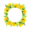 Watercolor round frame made of dandelion buds and leaves, illustration of summer yellow flowers Royalty Free Stock Photo