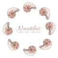 Watercolor round frame with nautilus shells isolated on white background. Marine collection.