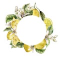 Watercolor round frame of ripe lemons, flowers and leaves. Hand painted tropical border of fresh fruits isolated on