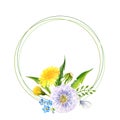 watercolor round frame with summer yellow flowers blow ball and ladybug, hand draw dandelions, forget me not flowers and Royalty Free Stock Photo