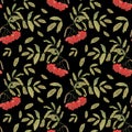Watercolor rowan branch with berries and leaves seamless pattern on a black background. autumn theme Royalty Free Stock Photo