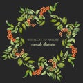 Watercolor rowan branches wreath, frame border Royalty Free Stock Photo