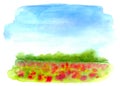 Watercolor rural landscape. Beautiful green field with red flowers and blue sky.