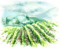 Watercolor Rural Scene with Hills, Vineyard and Trees