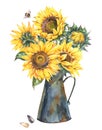 Watercolor rustic farmhouse sunflower bouquet, vintage  jug, vase Royalty Free Stock Photo