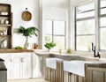 Watercolor of rustic modern farmhouse kitchen interior design